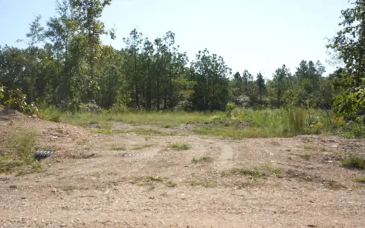 Land For Sale In Tn With Building Site Wooded Views