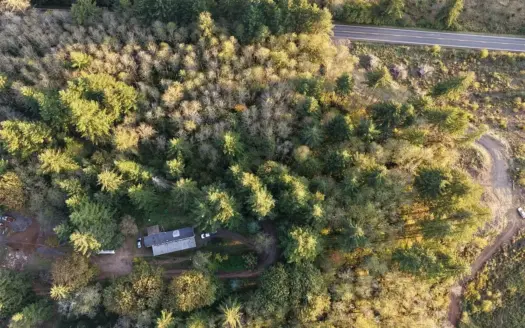5-Acre Amboy Property with Timber & Utilities