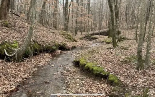Secluded 34.41 Acres with Spring-Fed Creek & Hunting
