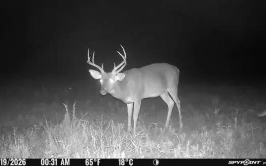 Turnkey Hunting Paradise Amite County Gloster Mississippi