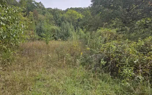 Wooded Lots for Sale in Bristol VA