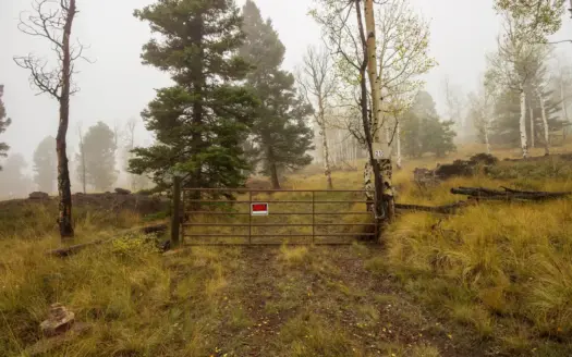 Discover the possibilities at 210 Kebler Trail in Powderhorn, CO