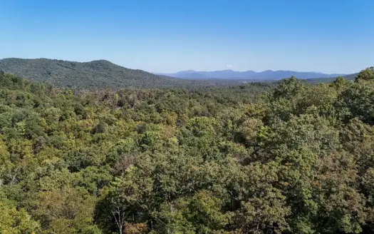 Lot For Sale in Gated Community on Mills River- Horse Shoe NC