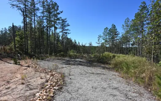 Vacan Land For Sale with 17 acres