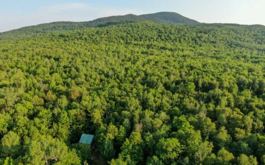 Off-Grid Cabin with 150± Acres Bordering Mount Chase