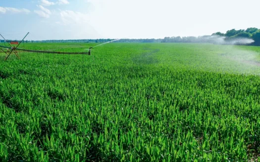 Irrigated Red River Farm & Hunting Ranch in McCurtain Co, OK