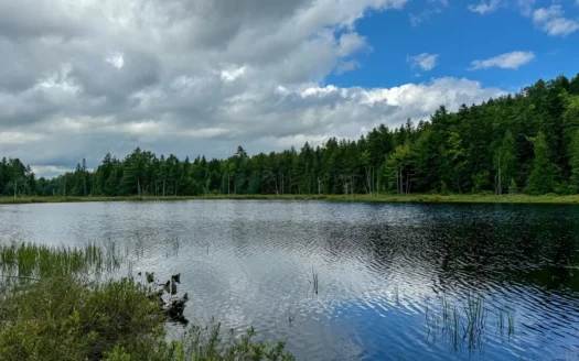 330 Acre Parcel with Waterfront