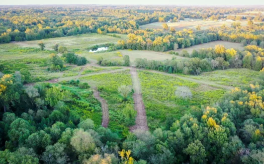 Recreational Hunting Land For Auction in Winnsboro TX