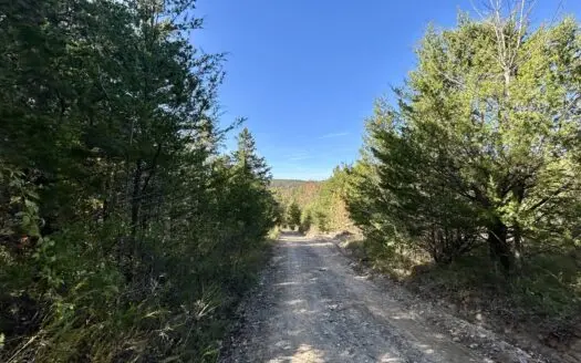 Unrestricted 20 acres in the Ozark Mountains near Mountain View