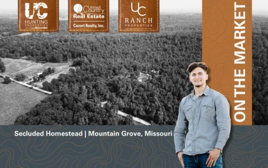 Homestead for sale in the Ozarks