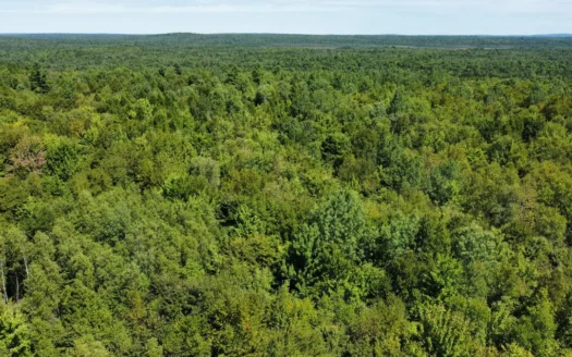 Private 25-Acre Woodlot with Trails & Recreation Access