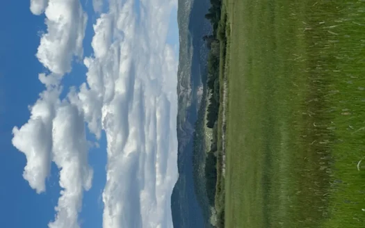 Irrigated Land for Sale, Hay Farm near Chama NM, Mountain Land