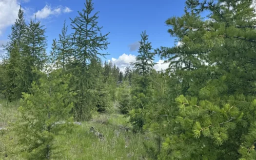 Buildable Land for Sale in Orofino, Idaho