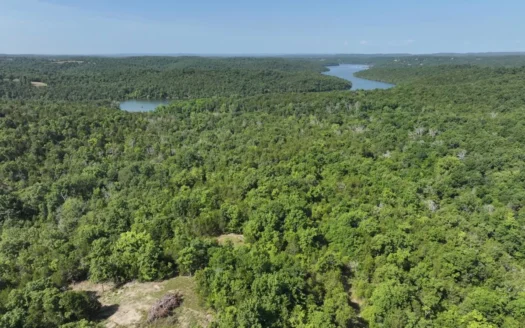 40 Secluded Acres in Ozark County Missouri Near Bull Shoals Lake