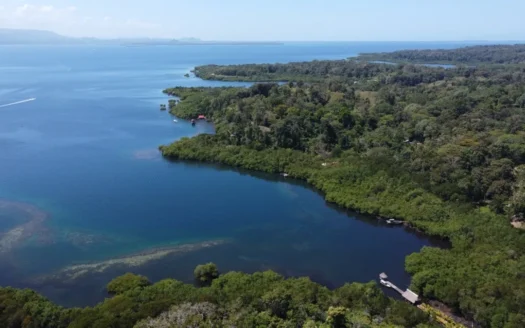 Waterfront Jungle Lot in Isla Cristóbal, Bocas del Toro