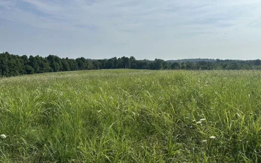 41.776 Acres with Spring-Fed Pond & Old Hunting Cabin