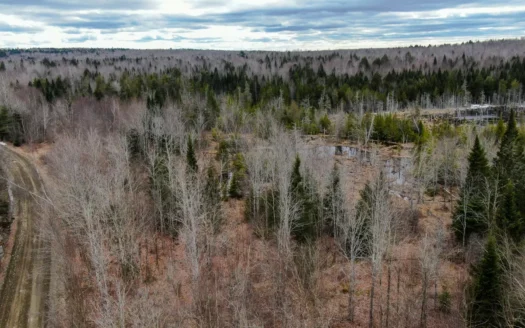 46.8 Acres of Maine Land for Sale – Remote and Forested