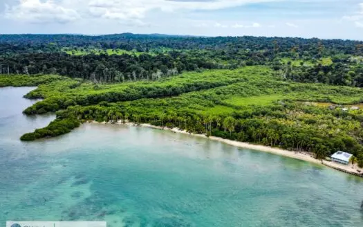 Titled Beachfront Land for Sale – Salt Creek, Bocas del Toro