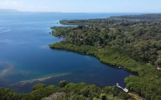 Waterfront Jungle Lot in Isla Cristóbal, Bocas del Toro