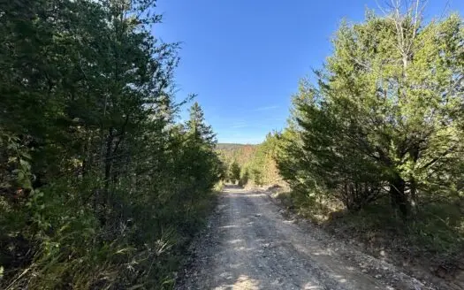 Unrestricted 20 acres in the Ozark Mountains near Mountain View