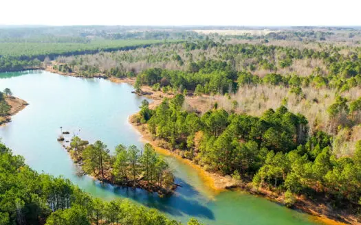 East Texas Recreational & Hunting Land with Lake