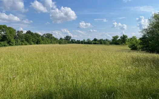 24 mostly cleared acres near Smiths Grove Ky. for sale.