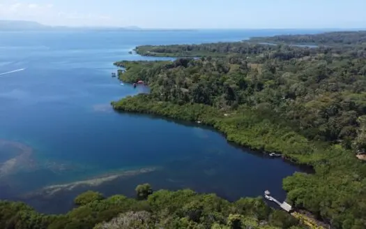 Waterfront Jungle Lot in Isla Cristóbal, Bocas del Toro