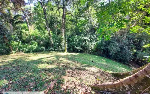 Affordable Titled Lot –  Isla Solarte, Bocas del Toro