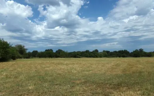 231± Acre Ranch for Sale in Lamar County, Texas – Blossom, TX