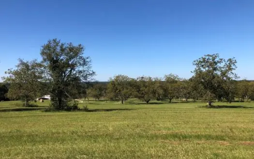 Acreage for Sale, Lee County AL Land, Opelika Property