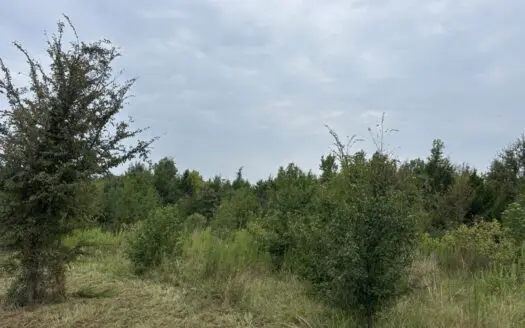 Great Homesite in Linden, Texas