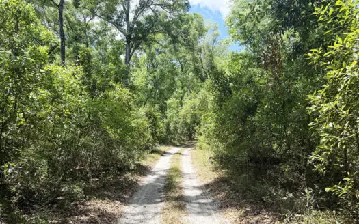 Ichetucknee River Community Homesite for Sale, Branford Fl
