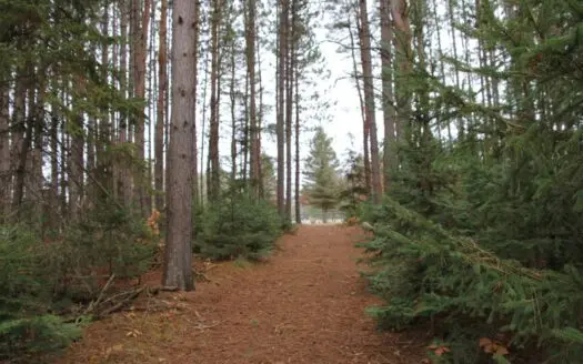 Vacant Land – 10 Acres for Sale Atlanta Mi Montmorency Co