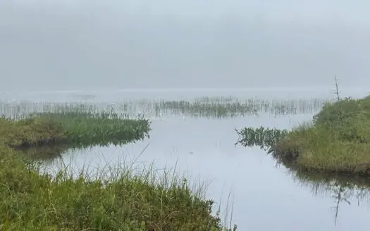 Land for Sale in Robbinston, Maine