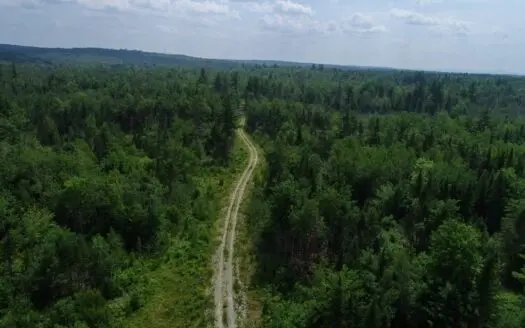 Maine Waterfront Timberland for Sale