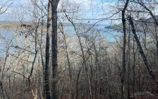 Lakefront Lot for Sale on Greers Ferry Lake Arkansas