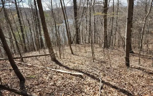 Wooded Lot for Sale on Lake Norris Tennessee
