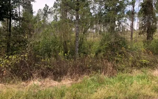 East Tennessee Creek Land for Sale