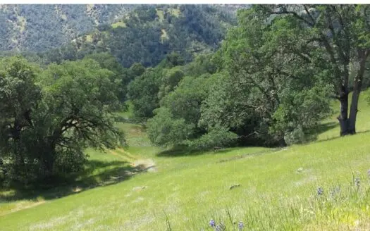 Napa County Recreation & Hunting Properties for Sale