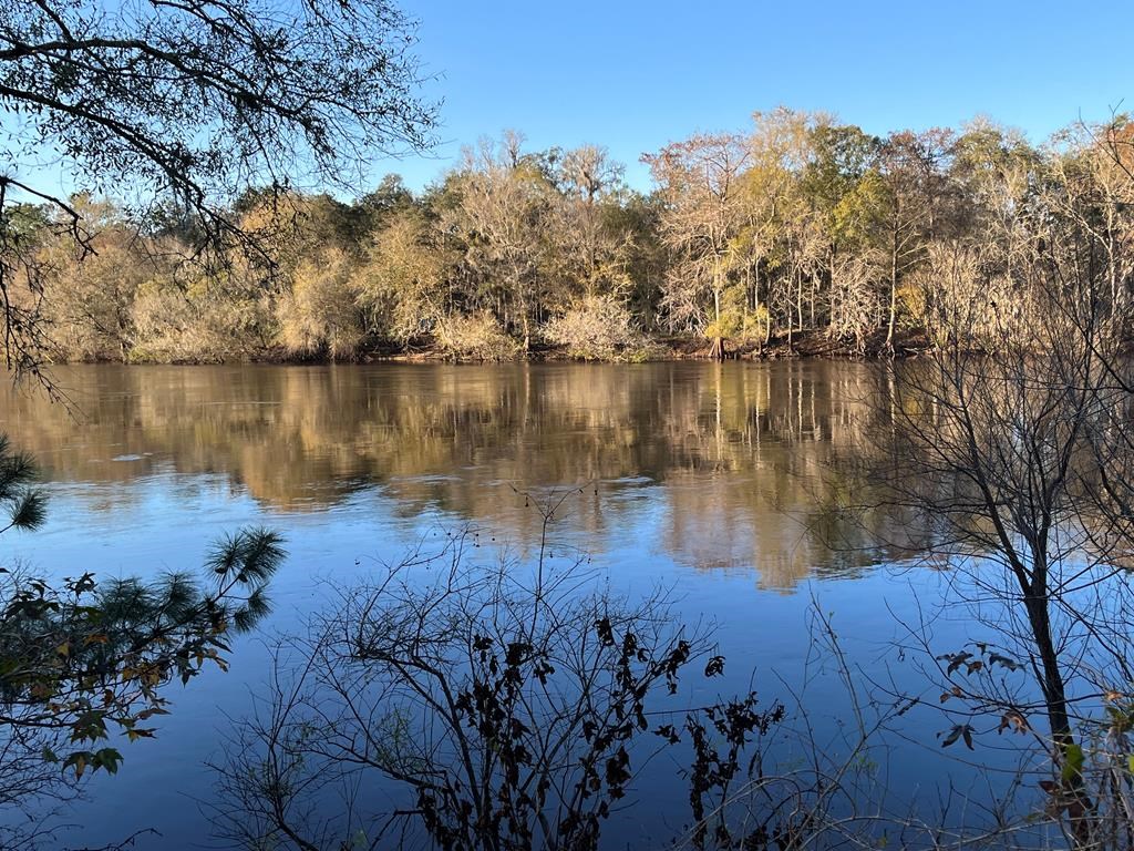 RIVER RETREAT ON THE SUWANNEE RIVER!