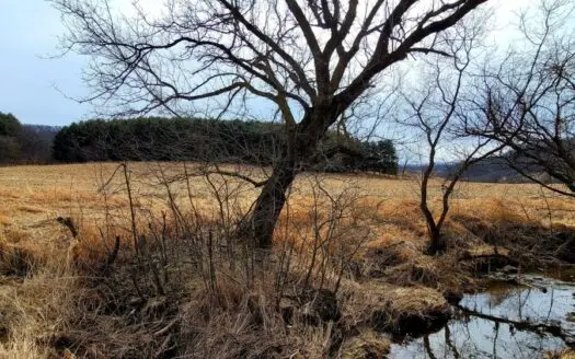 Richland County Hunting and Fishing Land for Sale