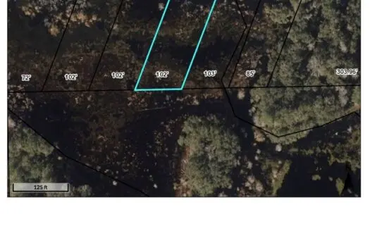 1.6 Acre Lot in Lake-in-the-woods Subdivision Has So Much P