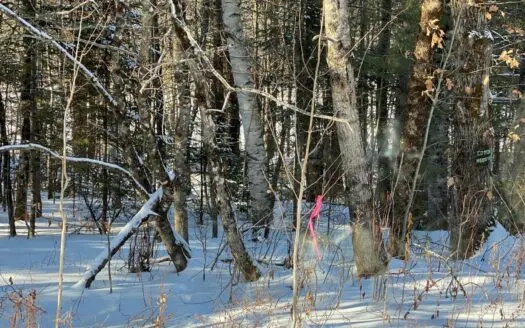 Riverfront Land Near Parks and Recreation