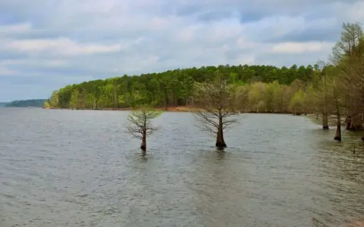 Rare Large Lakefront Acreage on Lake O’ the Pines