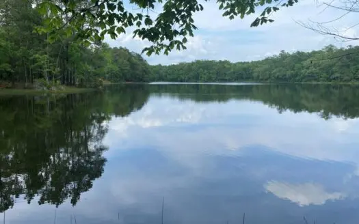 Lake Property for Sale East Texas