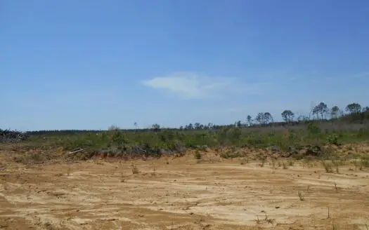 Land for Sale 23 Acres Lincoln County Brookhaven Mississippi