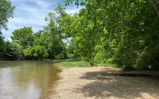 Waterfront Fishing Lot for Sale in Savannah, Tn