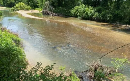 Indian Creek Lot for Sale in Savannah, Tn