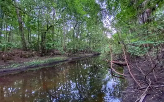 Gorgeous Waccasassa River Front Property!