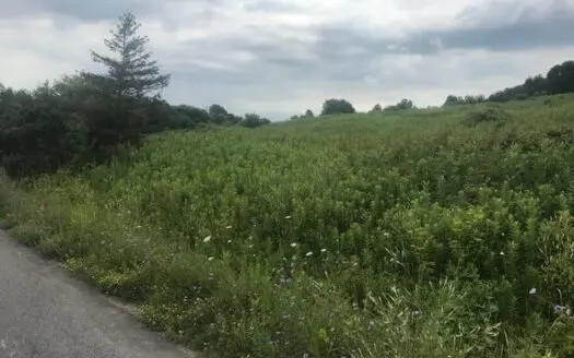 Hunting-fishing, Wooded Mixed- Use Land